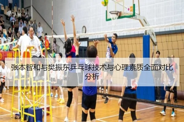 张本智和与樊振东乒乓球技术与心理素质全面对比分析